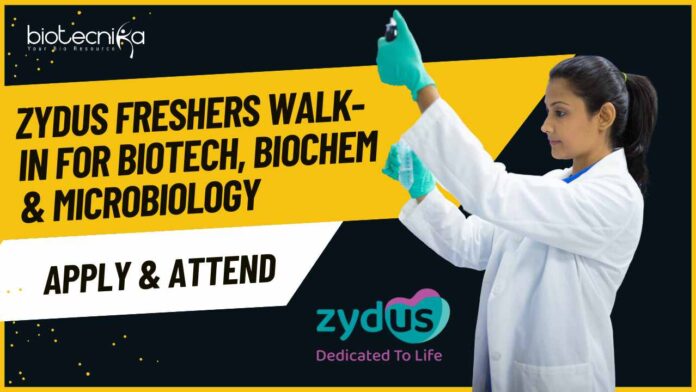 Freshers MSc Biotechnology Job Openings