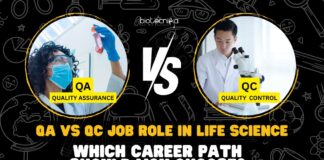 QA vs QC Job
