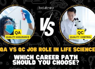 QA vs QC Job