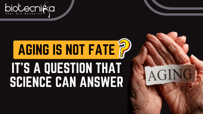 Ageing Is Not Fate, It’s a Question that Science Can Answer