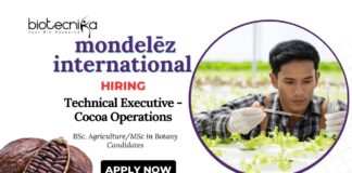 Agricultural Jobs at Mondelēz International Apply Now for Technical Executive- Cocoa Operations Role
