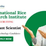 BSc Biotechnology Jobs at IRRI Apply Now for Assistant Scientist Role