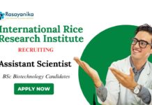 BSc Biotechnology Jobs at IRRI Apply Now for Assistant Scientist Role
