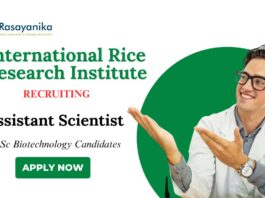 BSc Biotechnology Jobs at IRRI Apply Now for Assistant Scientist Role