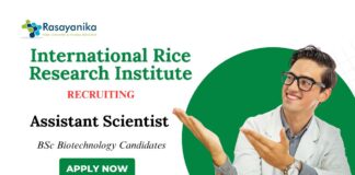 BSc Biotechnology Jobs at IRRI Apply Now for Assistant Scientist Role
