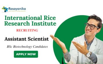BSc Biotechnology Jobs at IRRI Apply Now for Assistant Scientist Role