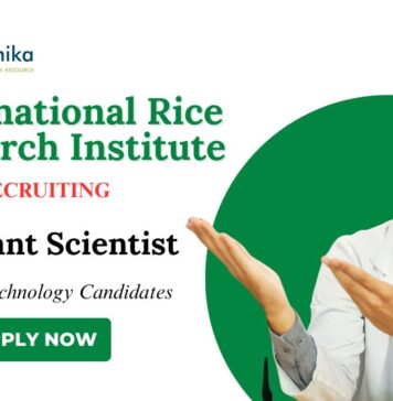 BSc Biotechnology Jobs at IRRI Apply Now for Assistant Scientist Role