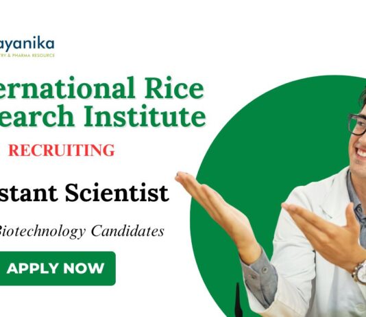 BSc Biotechnology Jobs at IRRI Apply Now for Assistant Scientist Role