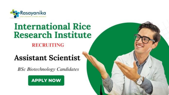 BSc Biotechnology Jobs at IRRI Apply Now for Assistant Scientist Role