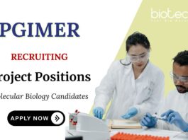 BSc Molecular Biology Jobs at PGIMER Apply Now for Project Positions