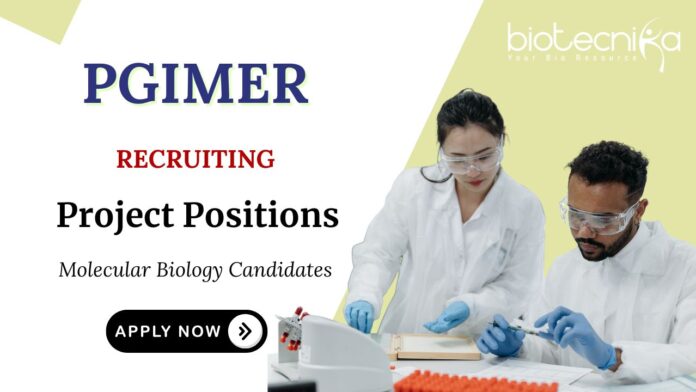 BSc Molecular Biology Jobs at PGIMER Apply Now for Project Positions