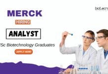 Biotechnology Jobs at Merck MSc Graduates Apply Now for the Analyst Role