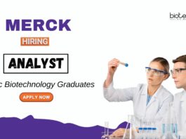 Biotechnology Jobs at Merck MSc Graduates Apply Now for the Analyst Role