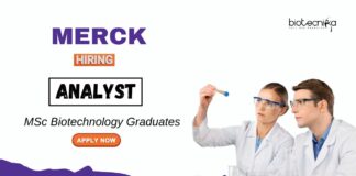 Biotechnology Jobs at Merck MSc Graduates Apply Now for the Analyst Role