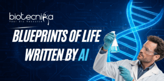 Blueprint of Life AI In Synthetic Biology