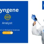 Syngene Biological Sciences Job, for Analyst Role. Hiring Analyst – Pharmacokinetics & Immunogenicity Assays at Immunogenicity Research Lab.