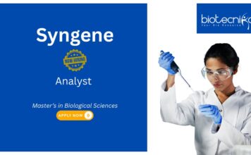 Syngene Biological Sciences Job, for Analyst Role. Hiring Analyst – Pharmacokinetics & Immunogenicity Assays at Immunogenicity Research Lab.