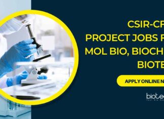 Mol Bio Project Vacancies Latest at CSIR-CFTRI