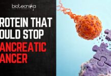 Breakthrough In Pancreatic Cancer. Cancer-Causing Protein Found