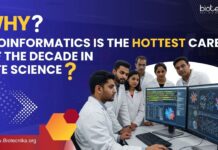 Bioinformatics Career