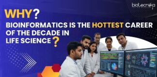 Bioinformatics Career