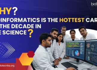 Bioinformatics Career