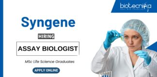 Life Science Jobs at Syngene | MSc Graduates Apply Now for the Assay Biologist Role