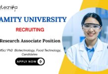 Food Technology Jobs at Amity Apply Now for Research Associate Position