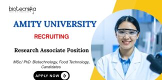 Food Technology Jobs at Amity Apply Now for Research Associate Position
