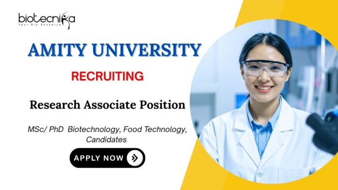 Food Technology Jobs at Amity Apply Now for Research Associate Position
