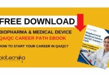 QA QC Career Path