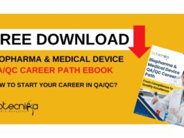 QA QC Career Path