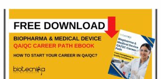 QA QC Career Path