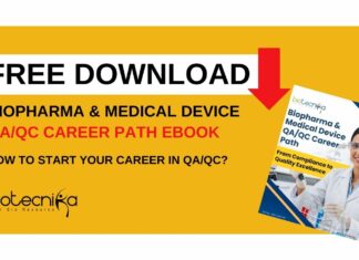 QA QC Career Path