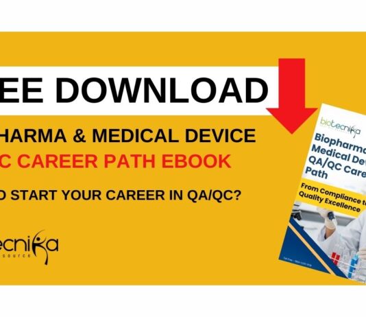 QA QC Career Path