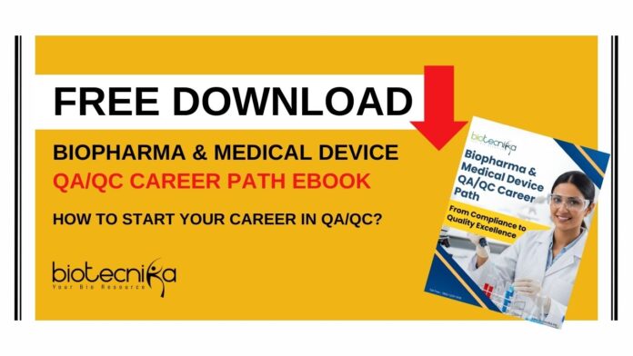 QA QC Career Path