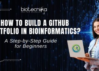 GitHub Portfolio for Bioinformatics A Beginner’s Guide to Land Your First Job