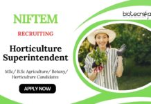 Horticulture Jobs at NIFTEM | Apply Now for Superintendent Position