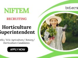Horticulture Jobs at NIFTEM | Apply Now for Superintendent Position