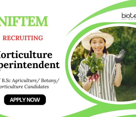 Horticulture Jobs at NIFTEM | Apply Now for Superintendent Position