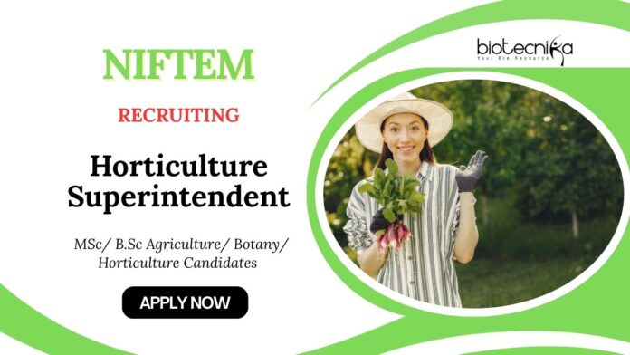 Horticulture Jobs at NIFTEM | Apply Now for Superintendent Position