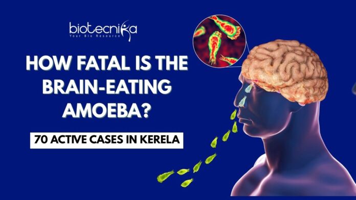 Everything you need to know about the fatal Brain-Eating Amoeba 