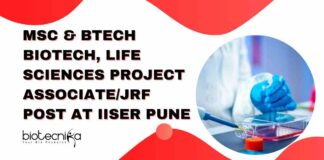 MSc & BTech Biotech Jobs