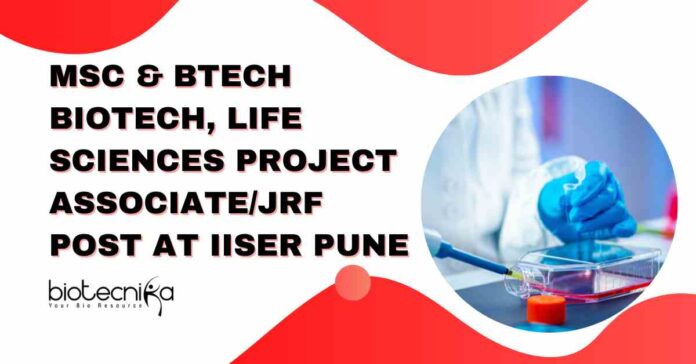 MSc & BTech Biotech Jobs