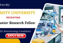 JRF Jobs at Amity University MSc Biotechnology Candidates Apply Now 