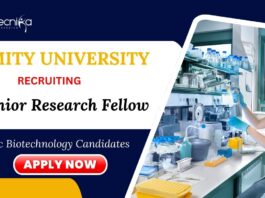 JRF Jobs at Amity University MSc Biotechnology Candidates Apply Now 
