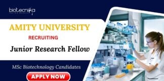 JRF Jobs at Amity University MSc Biotechnology Candidates Apply Now 