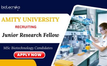 JRF Jobs at Amity University | MSc Biotechnology Candidates Apply Now JRF Jobs at Amity University MSc Biotechnology Candidates Apply Now