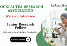 JRF Position Jobs at Tocklai Tea Research Institute | Attend the Walk-in Interview