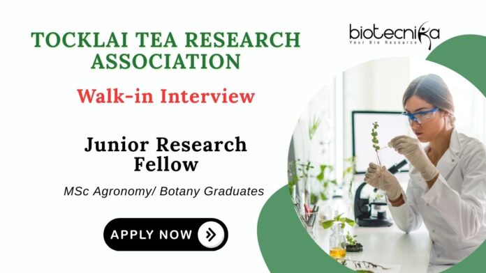 JRF Position Jobs at Tocklai Tea Research Institute | Attend the Walk-in Interview